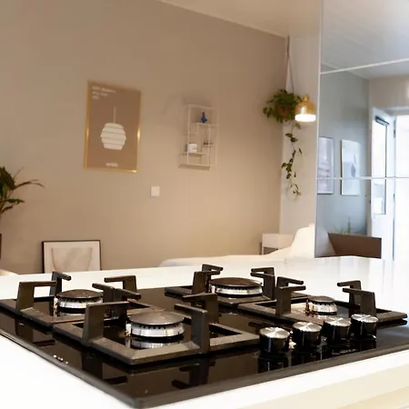 公寓 Luxury Nordic Loft With Great Kitchen And Location